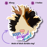 Thumbnail for Long Haired Guinea Pig Boop for Good Luck! Glossy Vinyl Sticker